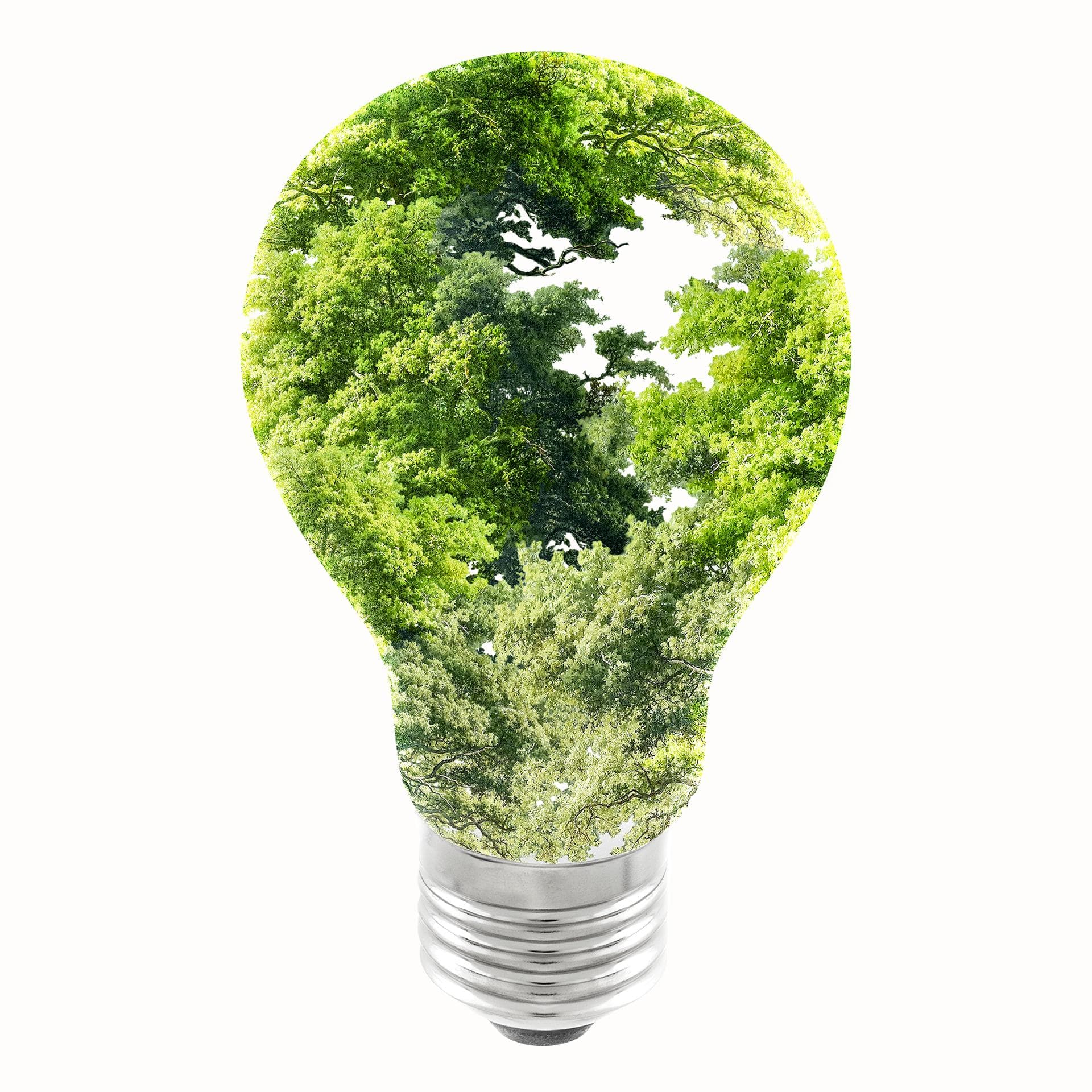 2026 Sustainability Forum