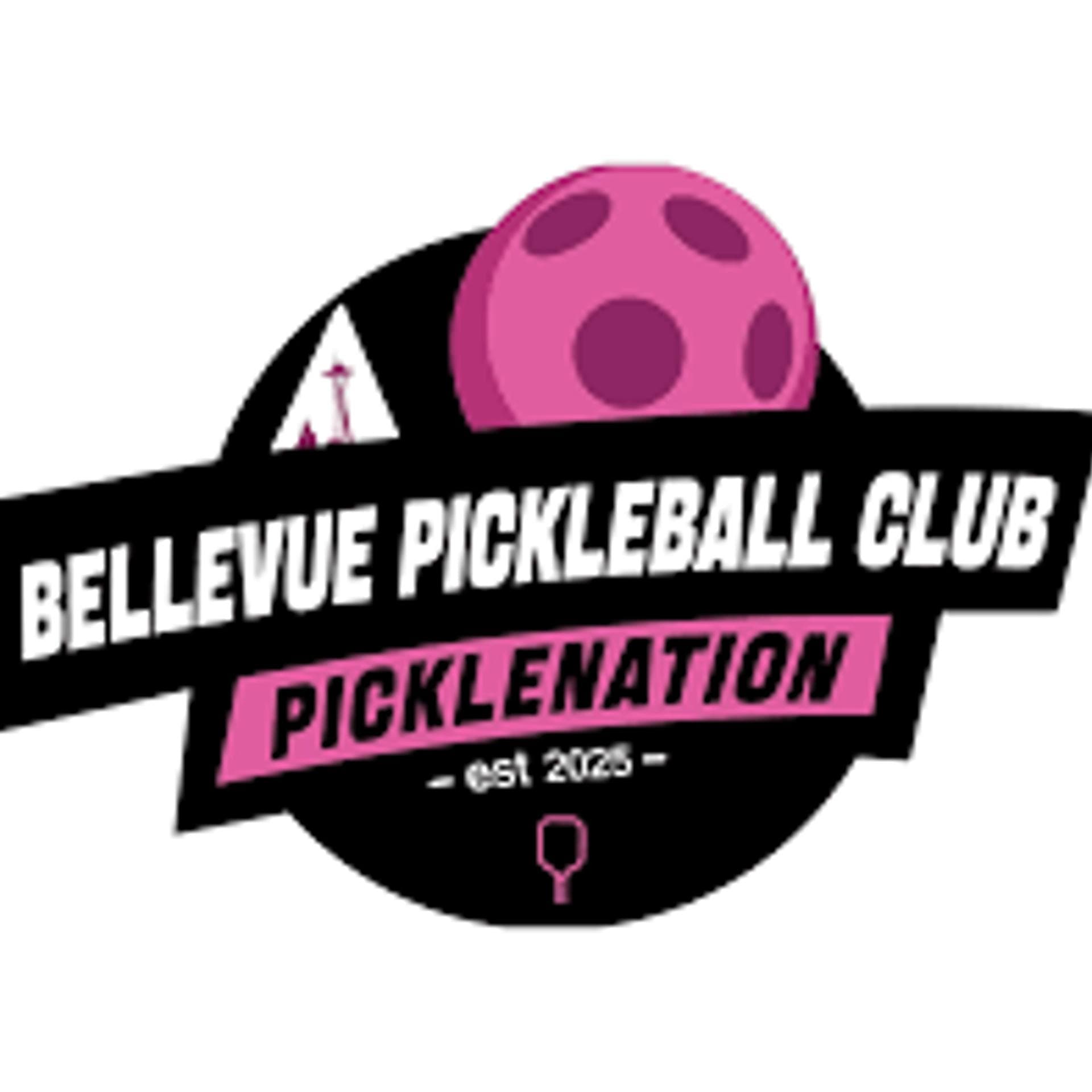 SeaMonster Studios Q3 Shopify Meetup: Pickleball Tournament and Networking